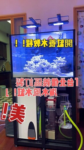 珊瑚 風水